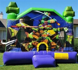 Teenage Mutant Ninja Turtles